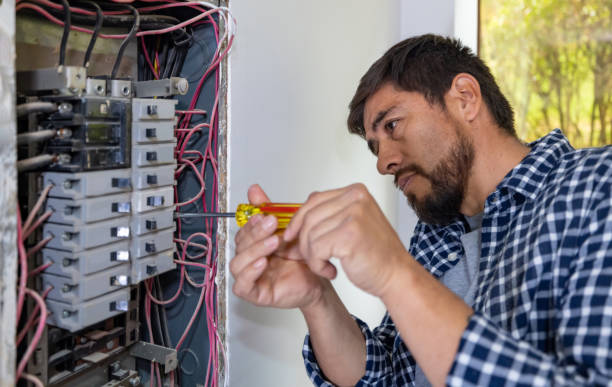 Best Electrical System Inspection  in Ben Lomond, CA